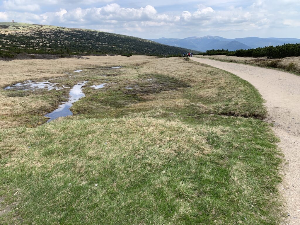 The scenery of the Giant Mountains (Krkonose / Riesengebirge) just below the source