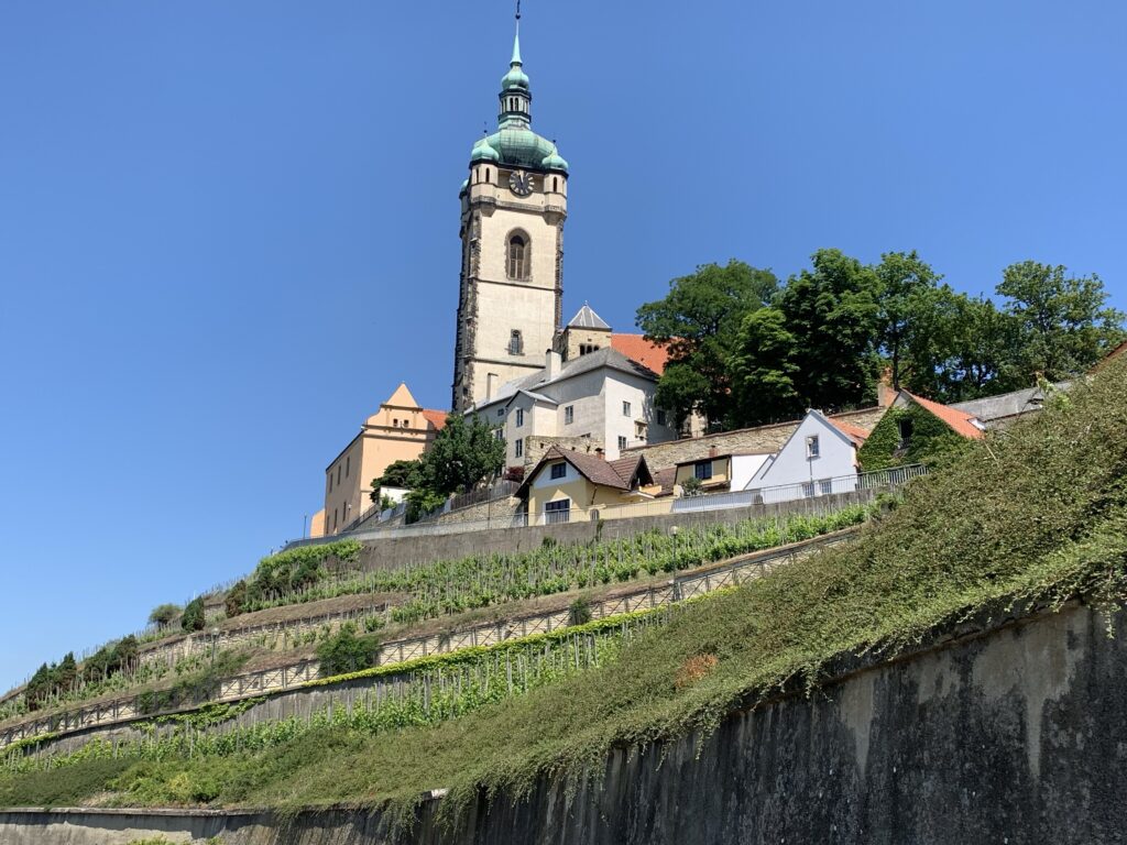 Chateau Melnik where wine and the rivers Elbe and Moldau come together. Moldau is actually a bigger one but luckily  the joint river kept the name Elbe. What a pleasure for a guy who grew up upon Elbe