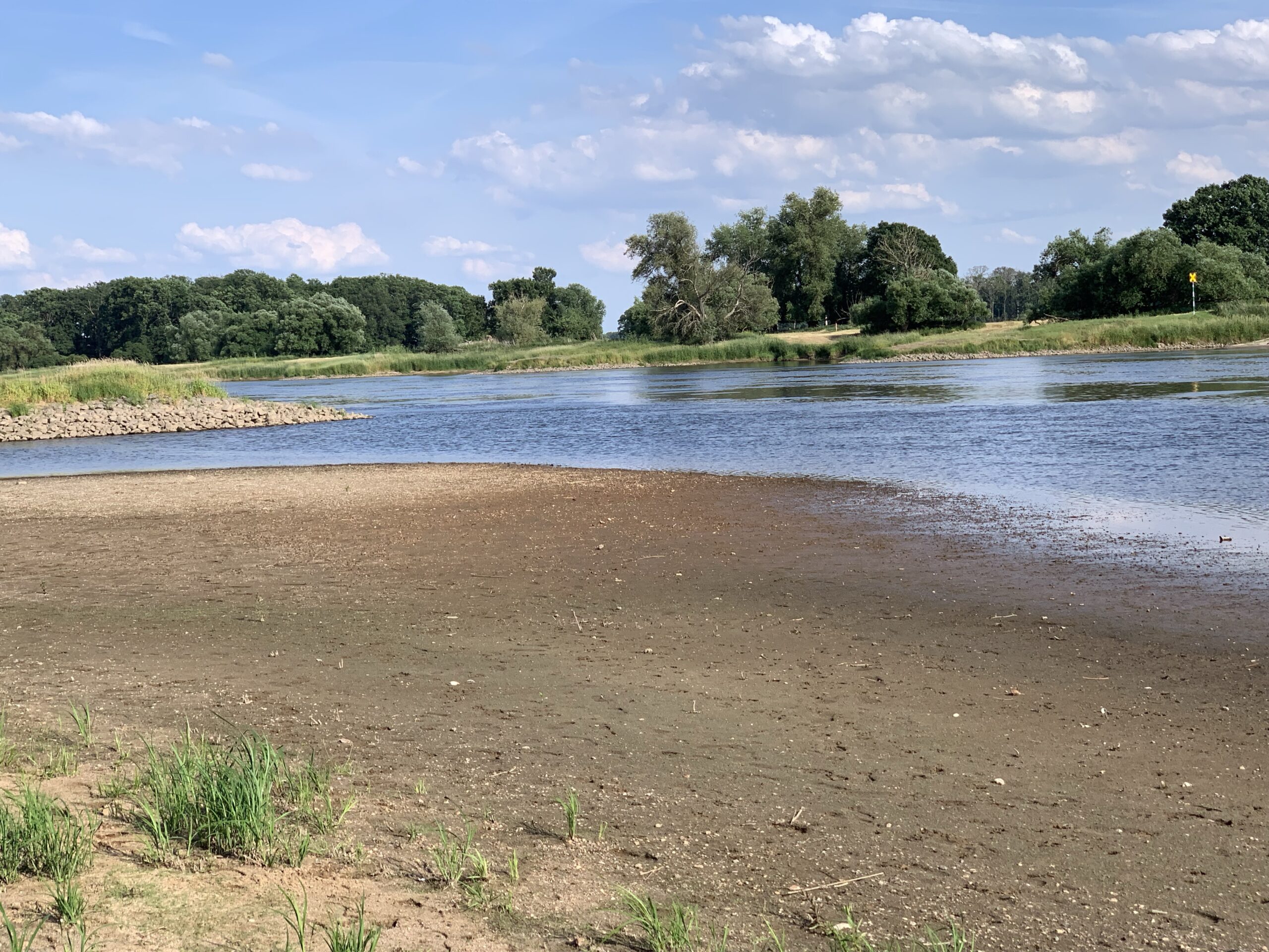 Elbe becomes a “meadow river” near Wittenberg. As to the locals, the water level is now 1.2m below normal