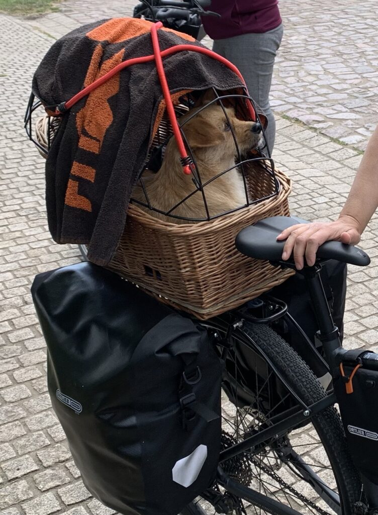 I met this young dog-lady at a ferry. She cycles from Berlin to Krefeld without touching any pedals
