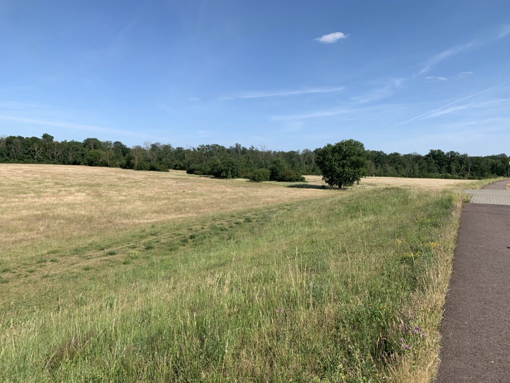 Saxony-Anhalt countryside
