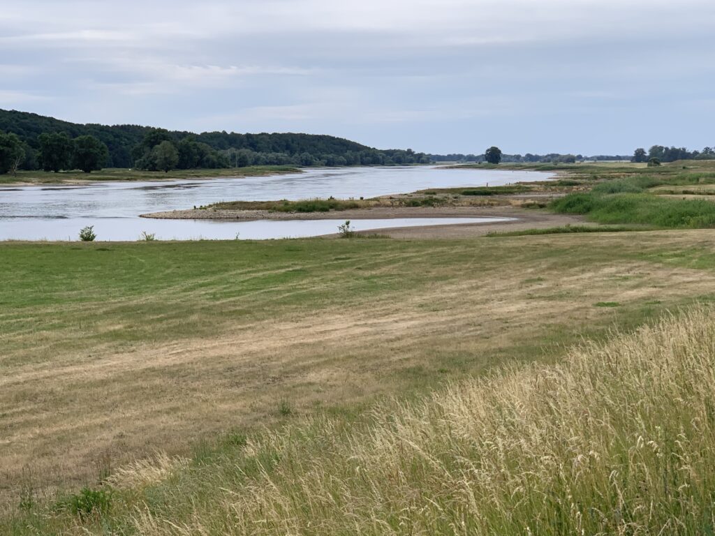 Wide Elbe in Lower Saxony