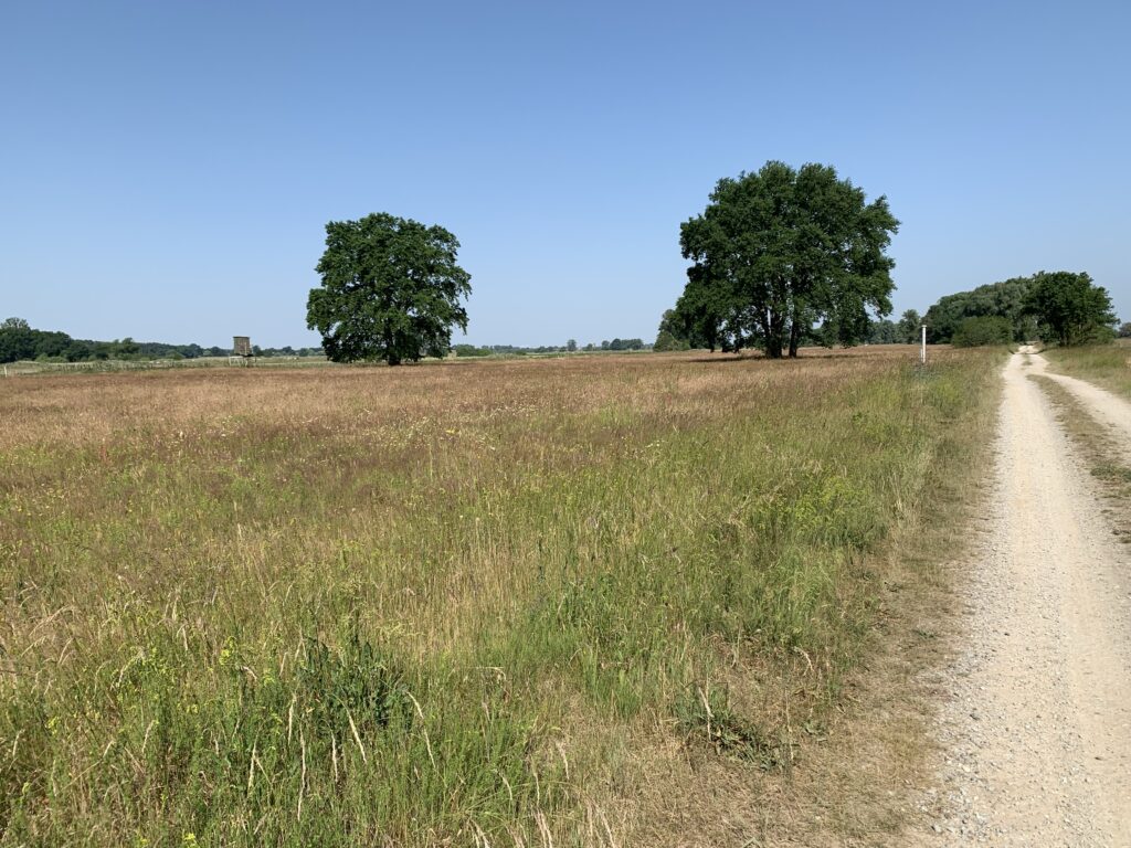 Countryside in Lower Saxony